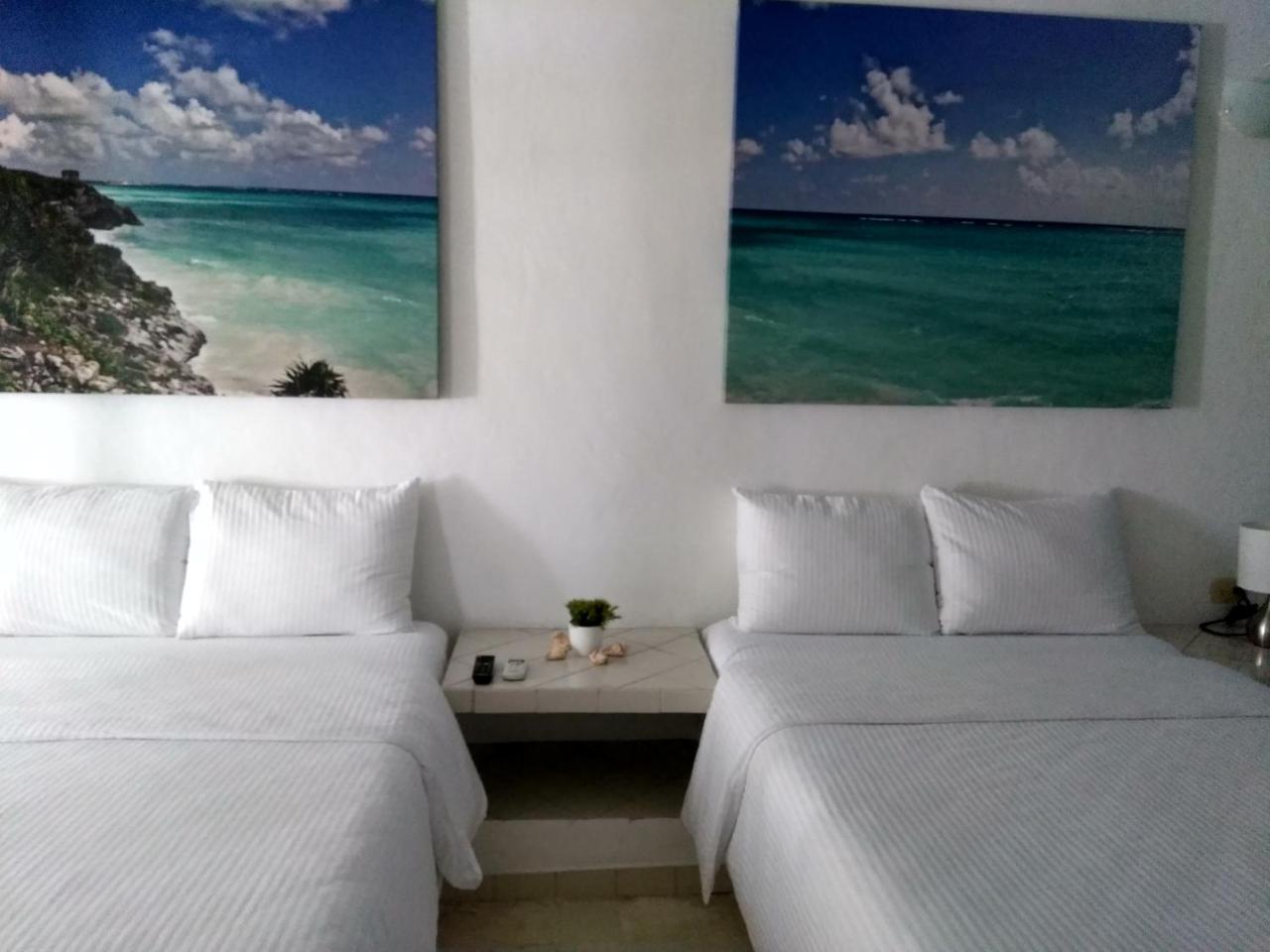 Tortuga Playa del Carmen